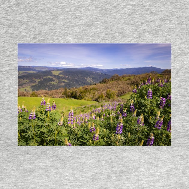 Lupine flowers and mountains by blossomcophoto